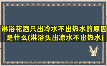 淋浴花洒只出冷水不出热水的原因是什么(淋浴头出凉水不出热水)