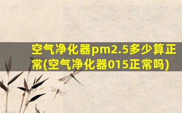 空气净化器pm2.5多少算正常(空气净化器015正常吗)