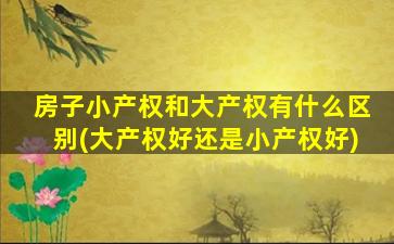 房子小产权和大产权有什么区别(大产权好还是小产权好)