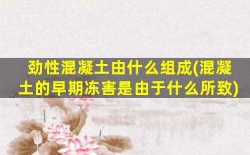 劲性混凝土由什么组成(混凝土的早期冻害是由于什么所致)