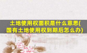 土地使用权面积是什么意思(国有土地使用权到期后怎么办)