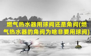 燃气热水器用球阀还是角阀(燃气热水器的角阀为啥非要用球阀)