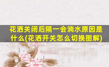 花洒关闭后隔一会淌水原因是什么(花洒开关怎么切换图解)