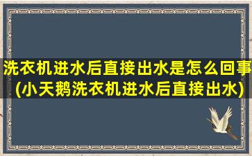 洗衣机进水后直接出水是怎么回事(小天鹅洗衣机进水后直接出水)