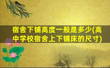 宿舍下铺高度一般是多少(高中学校宿舍上下铺床的尺寸)