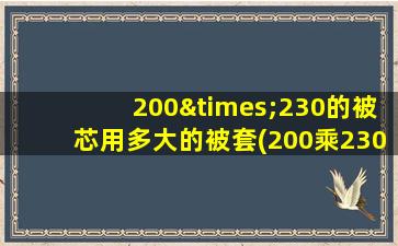 200×230的被芯用多大的被套(200乘230的被套被芯用多少的)