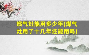 燃气灶能用多少年(煤气灶用了十几年还能用吗)