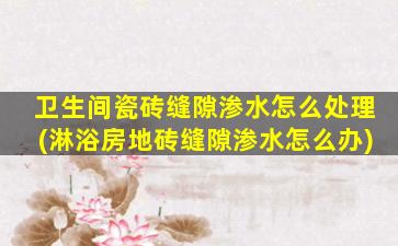 卫生间瓷砖缝隙渗水怎么处理(淋浴房地砖缝隙渗水怎么办)