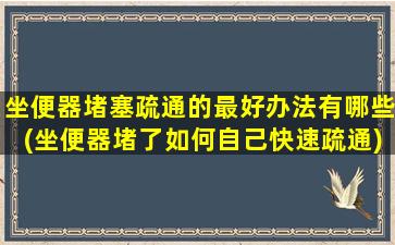 坐便器堵塞疏通的最好办法有哪些(坐便器堵了如何自己快速疏通)