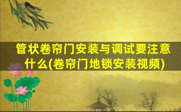 管状卷帘门安装与调试要注意什么(卷帘门地锁安装视频)