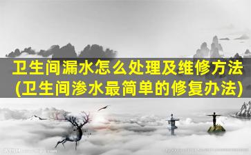 卫生间漏水怎么处理及维修方法(卫生间渗水最简单的修复办法)