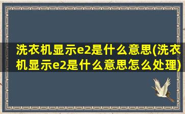 洗衣机显示e2是什么意思(洗衣机显示e2是什么意思怎么处理)