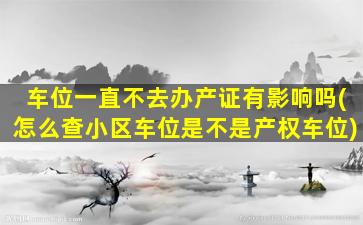 车位一直不去办产证有影响吗(怎么查小区车位是不是产权车位)