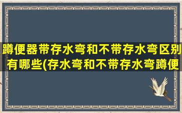 蹲便器带存水弯和不带存水弯区别有哪些(存水弯和不带存水弯蹲便器)