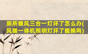 厕所暖风三合一灯坏了怎么办(风暖一体机照明灯坏了能换吗)