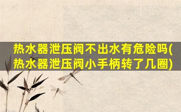 热水器泄压阀不出水有危险吗(热水器泄压阀小手柄转了几圈)