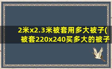 2米x2.3米被套用多大被子(被套220x240买多大的被子)