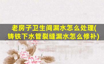 老房子卫生间漏水怎么处理(铸铁下水管裂缝漏水怎么修补)