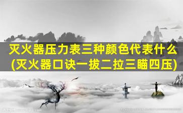 灭火器压力表三种颜色代表什么(灭火器口诀一拔二拉三瞄四压)