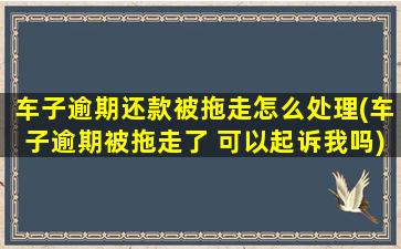 车子逾期还款被拖走怎么处理(车子逾期被拖走了 可以起诉我吗)