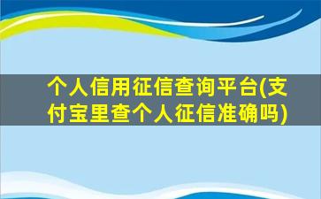 个人信用征信查询平台(支付宝里查个人征信准确吗)