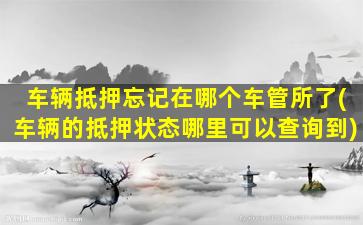 车辆抵押忘记在哪个车管所了(车辆的抵押状态哪里可以查询到)