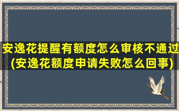 安逸花提醒有额度怎么审核不通过(安逸花额度申请失败怎么回事)