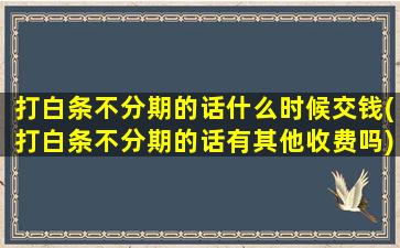 打白条不分期的话什么时候交钱(打白条不分期的话有其他收费吗)
