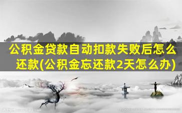 公积金贷款自动扣款失败后怎么还款(公积金忘还款2天怎么办)