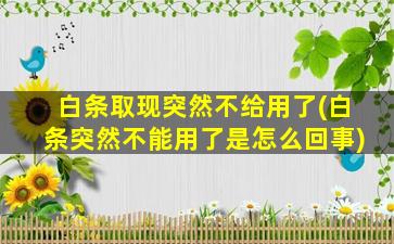 白条取现突然不给用了(白条突然不能用了是怎么回事)