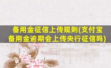 备用金征信上传规则(支付宝备用金逾期会上传央行征信吗)