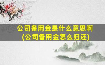 公司备用金是什么意思啊(公司备用金怎么归还)