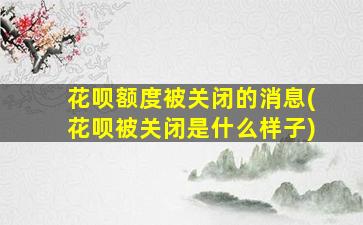 花呗额度被关闭的消息(花呗被关闭是什么样子)