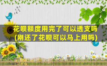 花呗额度用完了可以透支吗(刚还了花呗可以马上用吗)