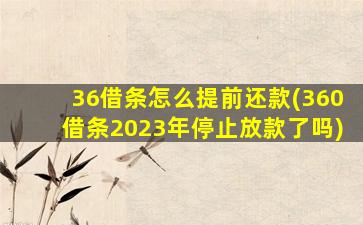 36借条怎么提前还款(360借条2023年停止放款了吗)