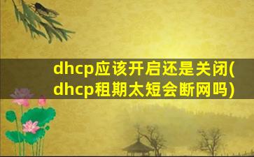 dhcp应该开启还是关闭(dhcp租期太短会断网吗)