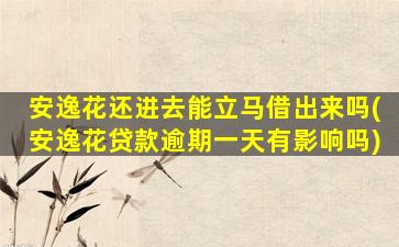 安逸花还进去能立马借出来吗(安逸花贷款逾期一天有影响吗)