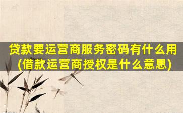 贷款要运营商服务密码有什么用(借款运营商授权是什么意思)