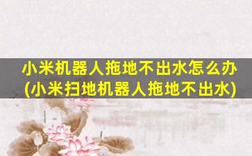 小米机器人拖地不出水怎么办(小米扫地机器人拖地不出水)