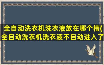 全自动洗衣机洗衣液放在哪个槽(全自动洗衣机洗衣液不自动进入了)