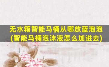 无水箱智能马桶从哪放蓝泡泡(智能马桶泡沫液怎么加进去)