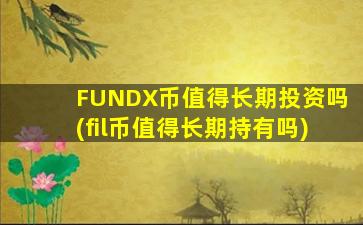 FUNDX币值得长期投资吗(fil币值得长期持有吗)