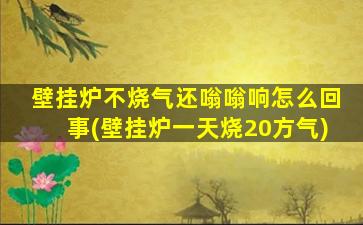 壁挂炉不烧气还嗡嗡响怎么回事(壁挂炉一天烧20方气)