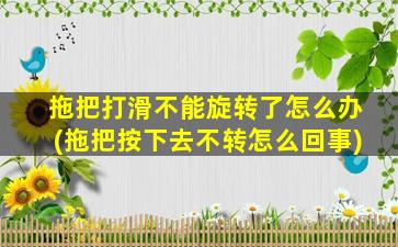 拖把打滑不能旋转了怎么办(拖把按下去不转怎么回事)