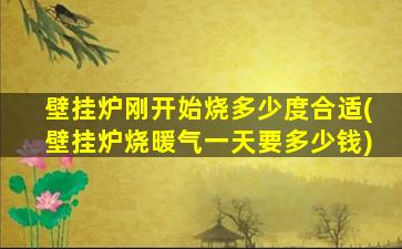 壁挂炉刚开始烧多少度合适(壁挂炉烧暖气一天要多少钱)