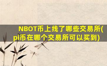 NBOT币上线了哪些交易所(pi币在哪个交易所可以买到)