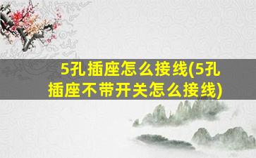 5孔插座怎么接线(5孔插座不带开关怎么接线)