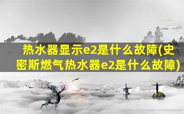 热水器显示e2是什么故障(史密斯燃气热水器e2是什么故障)