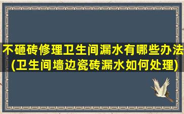 不砸砖修理卫生间漏水有哪些办法(卫生间墙边瓷砖漏水如何处理)