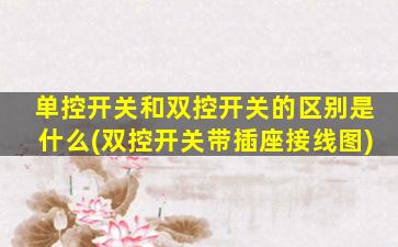 单控开关和双控开关的区别是什么(双控开关带插座接线图)
